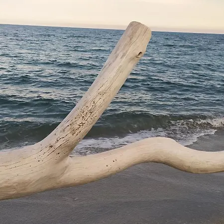 Appartement Appt 4-6 Couchages Climatise Avec 2 Piscines Et 200 M Des Plages Et Criques