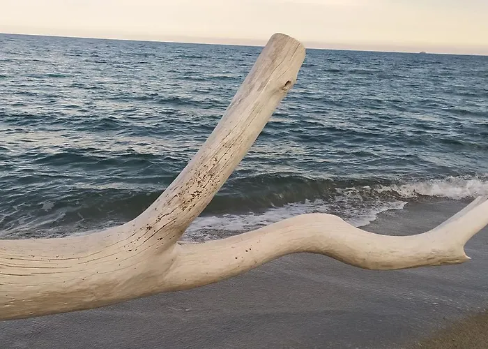 Daire Appt 4-6 Couchages Climatise Avec 2 Piscines Et 200 M Des Plages Et Criques